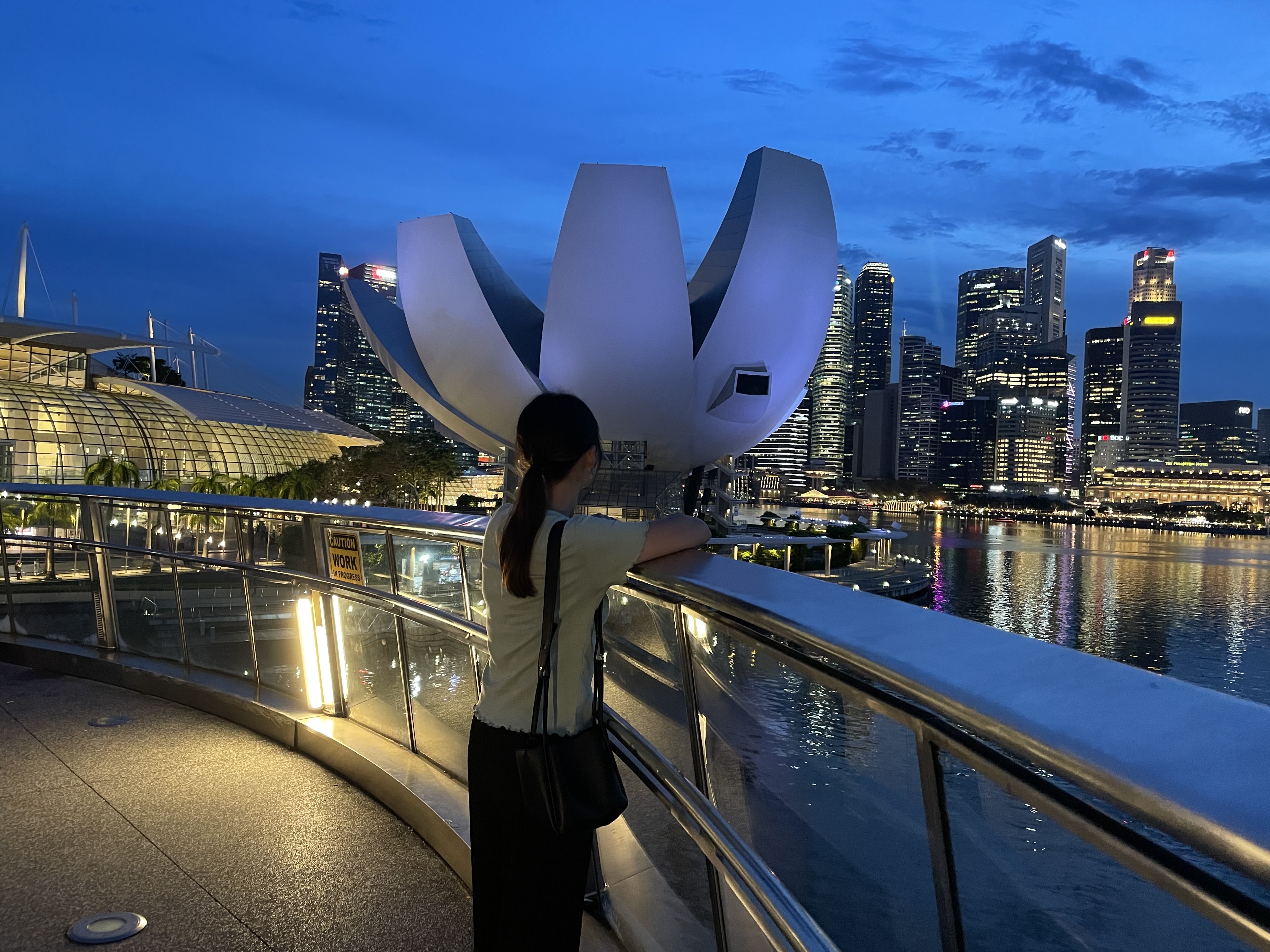 Almost Singapore