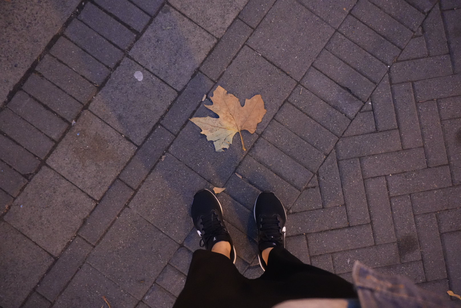 WH Canada｜02